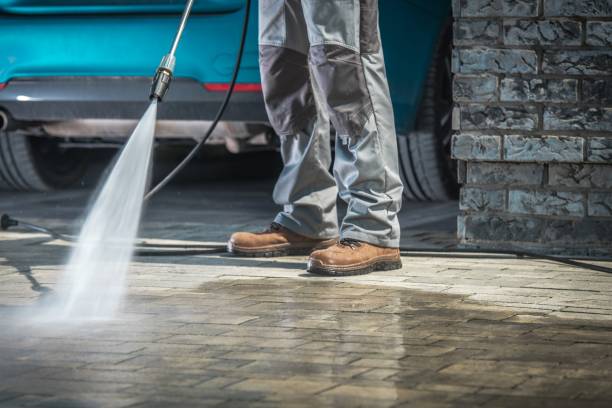 Best Restaurant Pressure Washing  in Elsa, TX