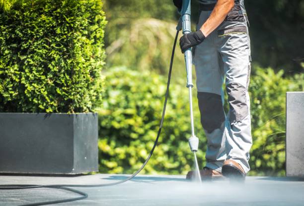 Best Factory Floor Cleaning  in Elsa, TX