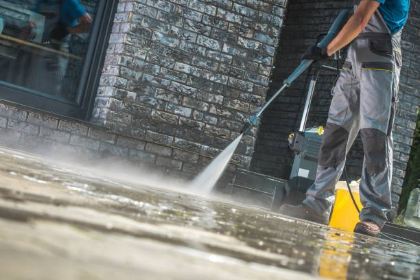Best Building Exterior Washing  in Elsa, TX