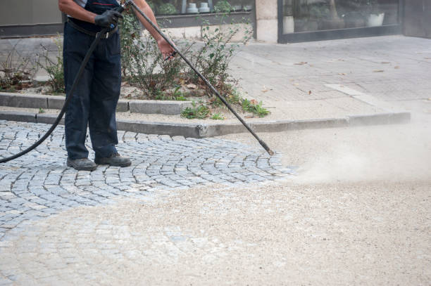 Best Dumpster Area Cleaning  in Elsa, TX