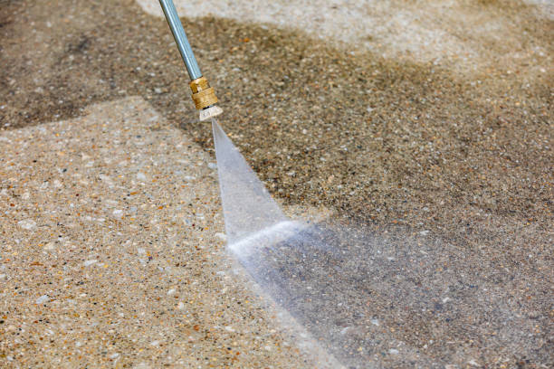 Best Driveway Pressure Washing  in Elsa, TX